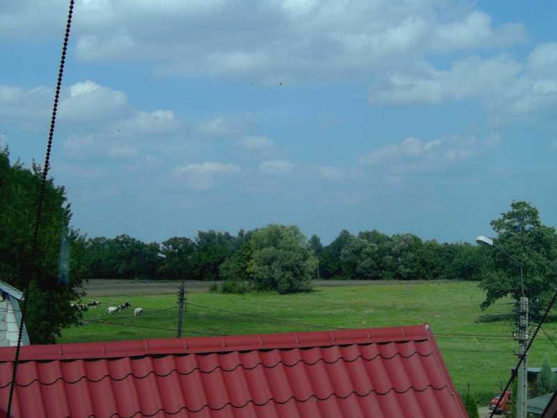 Polish countryside